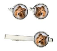 Set Di Collie A Pelo Lungo Con Fermagli In Una Scatola Con Immagine. Art-Dog