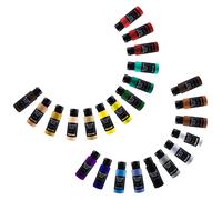 Set di colori a vernice liquida da 24 pezzi da 60 ml con 3 pennelli per artisti e principianti