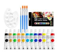 Set di colori fai da te per adulti, set di colori ad acquerello, accessori per artisti, set di pallet ad acquerello, scatola portatile a 12 colori, per artisti e hobbisti, per artisti, artigiani