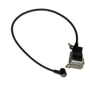 Set di componenti di accensione primaria tra cui bobina, pacchetto ad alta tensione e accenditore per attività di manutenzione ordinaria del motore