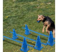 Set di coni per ostacoli per l'agilità del cane, attrezzatura per