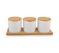 Set di contenitori per spezie in ceramica, vaso per spezie in ceramica con cucchiai e coperchi in bambù, condimento per tè, caffè, salsa e peperoni