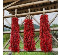 Set di corde di peperoncino rosso in plastica per decorazione tematica per cucina, bar e fotografia di cibo, per creatori di contenuti (5 pezzi)