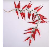 Set di corde di peperoncino rosso in plastica per decorazione tematica per cucina, bar e fotografia di cibo, per creatori di contenuti (10 pezzi)