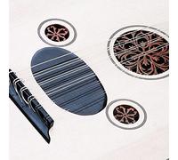 Set di Corde per Oud in Nylon Placcato Argento in Lega di Rame, Leggere e Resistenti, Migliore Risonanza, Eccellente qualità del Suono, 12 Corde Mostrate Come Immagine, (10 corde)