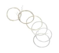 Set di Corde per Oud in Nylon Placcato Argento in Lega di Rame, Leggere e Resistenti, Migliore Risonanza, Eccellente qualità del Suono, 12 Corde Mostrate Come Immagine, (12STRINGS)