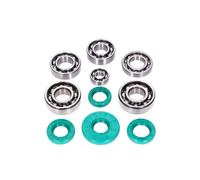 Set di cuscinetti a sfera con gabbia metallica Schmitt Evolution C3 FKM