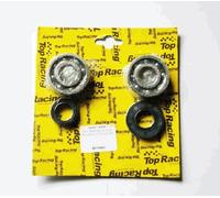SET DI CUSCINETTI CON GUARNIZIONI TOP RACING, PEUGEOT 50CC 2T