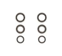 Set di cuscinetti cyclingceramic dt swiss 240s disc ccwsdts2
