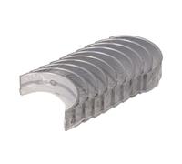 ENGITECH ENT074507 STD Bronzine di banco