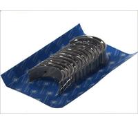 Set di cuscinetti per albero motore KOLBENSCHMIDT per Skyliner 11.02 1990-1993