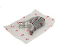 Set di cuscinetti dell'albero a gomiti NE 6035060000