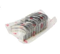 Set di cuscinetti per albero motore NE per IVECO TURBOCITY 9.498 1992-1994