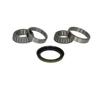 Set di cuscinetti ruota BTA H10060BTA