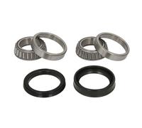 Set di cuscinetti ruota BTA H11002BTA