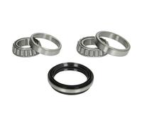 Set di cuscinetti ruota BTA H11020BTA