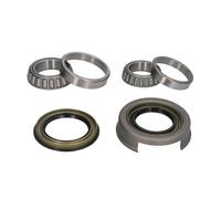 Set di cuscinetti ruota BTA H11089BTA