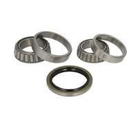 Set di cuscinetti ruota BTA H12023BTA