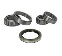 Set di cuscinetti ruota BTA H15006BTA
