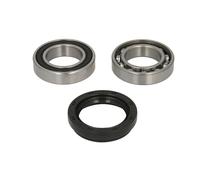 Set di cuscinetti ruota BTA H18005BTA