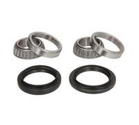 Set di cuscinetti ruota BTA H1G003BTA