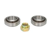 Set di cuscinetti ruota BTA H1G009BTA