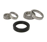 Set di cuscinetti ruota BTA H1M003BTA