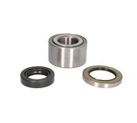Set di cuscinetti ruota BTA H20510BTA