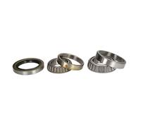 Set di cuscinetti ruota BTA H20533BTA