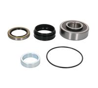 Set di cuscinetti ruota BTA H22132BTA