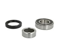 Set di cuscinetti ruota BTA H23000BTA