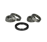 Set di cuscinetti ruota BTA H24001BTA