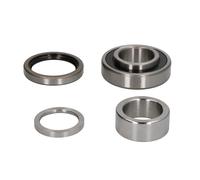 Set di cuscinetti ruota BTA H28000BTA