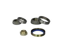 Set di cuscinetti ruota BTA H2C039BTA