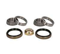 Set di cuscinetti ruota BTA H2G036BTA