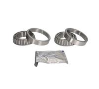 Set di cuscinetti ruota BTA H2G061BTA
