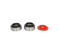Set di cuscinetti ruota FAG 566193.H195