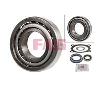 Set di cuscinetti ruota FAG 713 6134 10