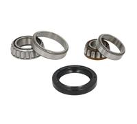 Set di cuscinetti ruota SKF VKBA 505