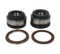 Set di cuscinetti ruota SKF VKBA 5424
