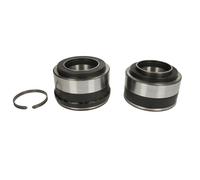 Set di cuscinetti ruota SKF VKBA 5453