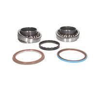 Set di cuscinetti ruota SKF VKBA 5456