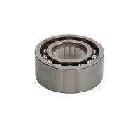 Set di cuscinetti ruota SKF VKBC 20194