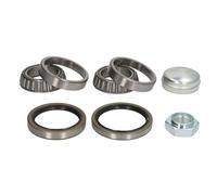 Set di cuscinetti ruota SNR R140.77