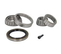 Set di cuscinetti ruota SNR R141.13