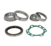 Set di cuscinetti ruota SNR R141.15