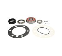 Set di cuscinetti ruota SNR R141.43