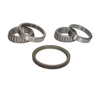 Set di cuscinetti ruota SNR R141.47