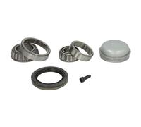 Set di cuscinetti ruota SNR R151.36S