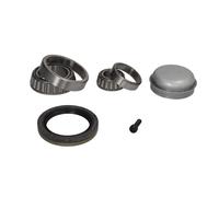 Set di cuscinetti ruota SNR R151.38